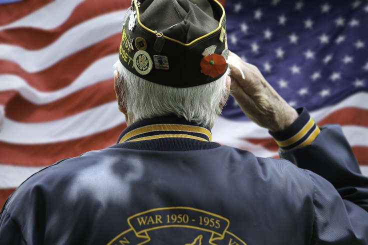 Veterans Saluting